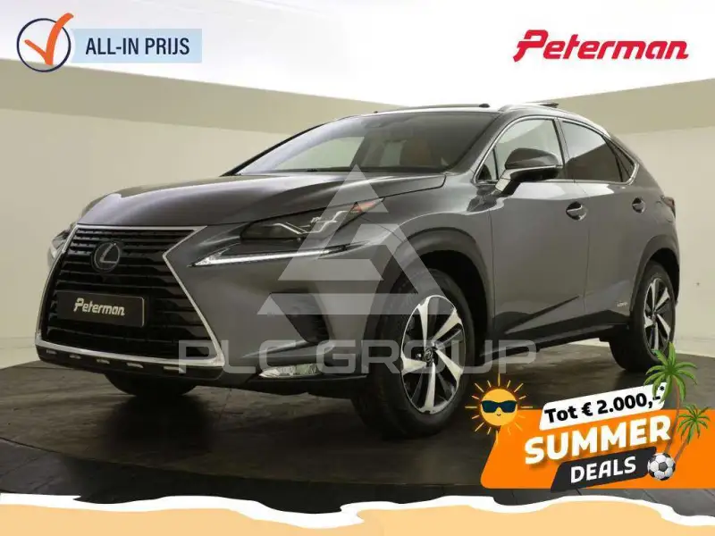 2021 Lexus NX300