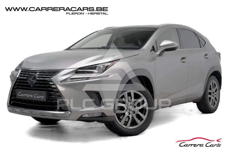 2021 Lexus NX300