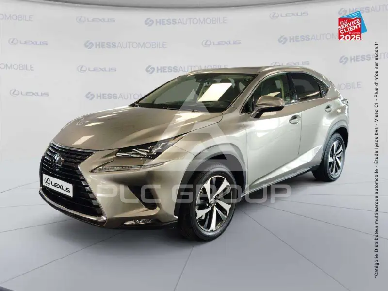 2021 Lexus NX300