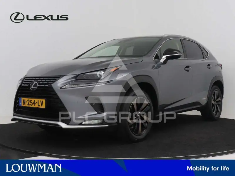 2021 Lexus NX300