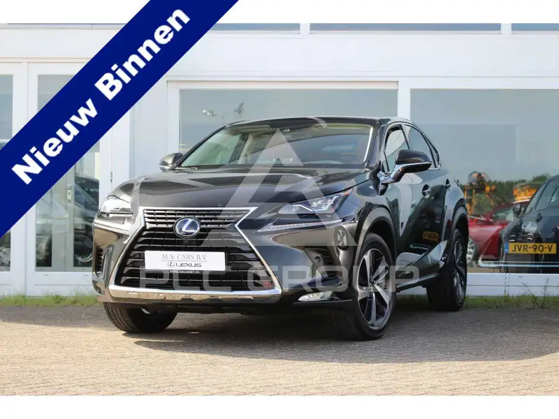 2021 Lexus NX300