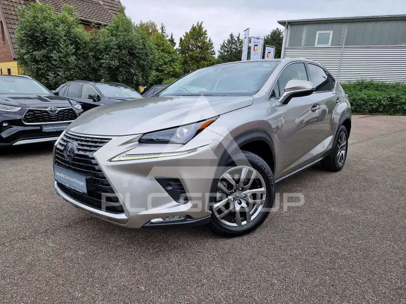 2021 Lexus NX300