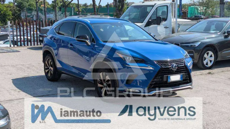 2021 Lexus NX300