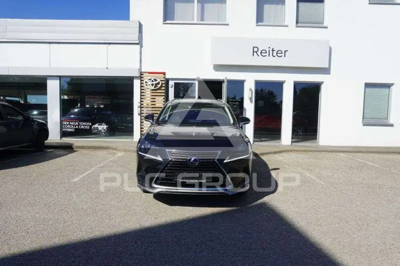 2021 Lexus NX300
