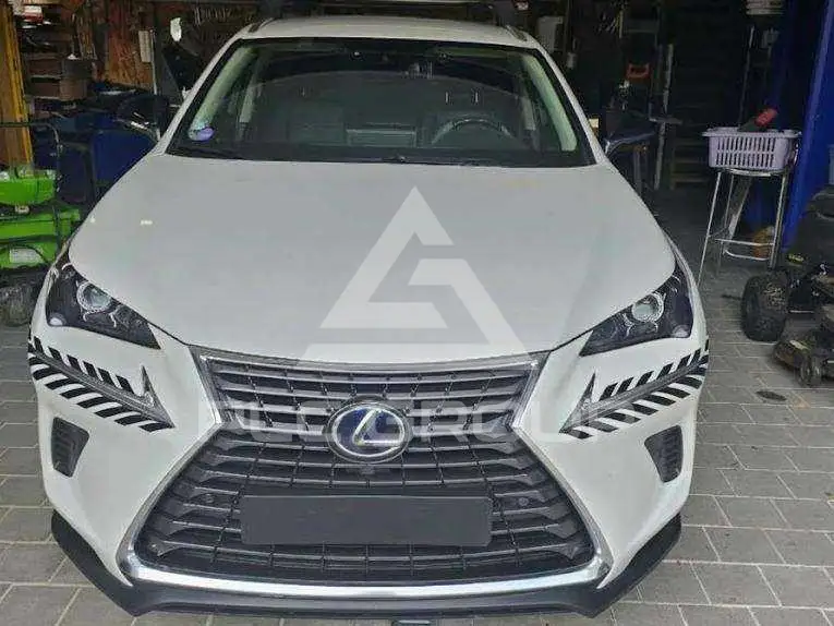 2021 Lexus NX300