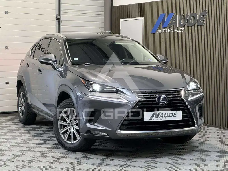 2021 Lexus NX300