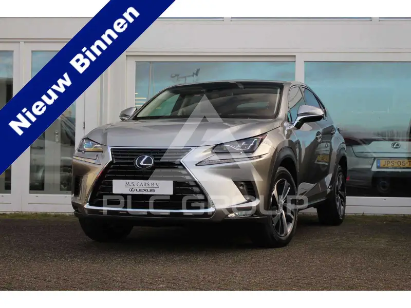 2021 Lexus NX300