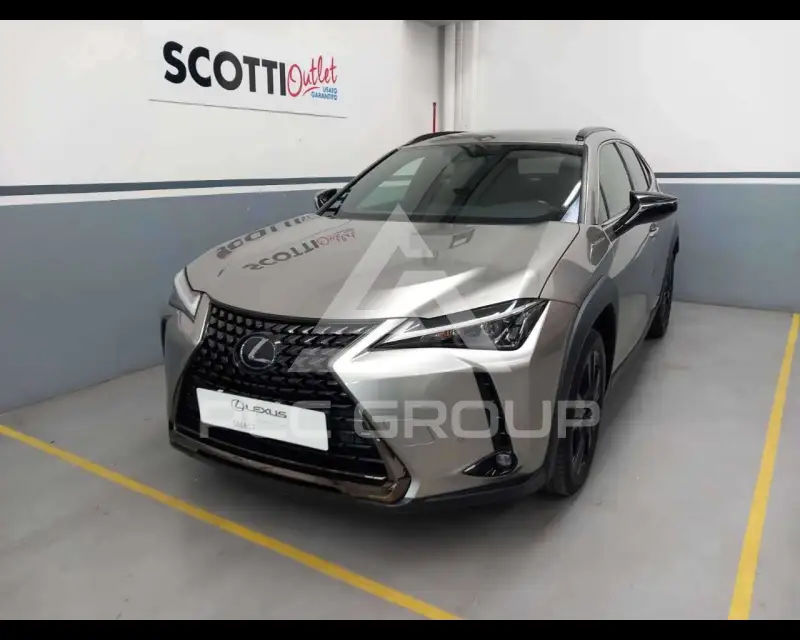 2021 Lexus UX250
