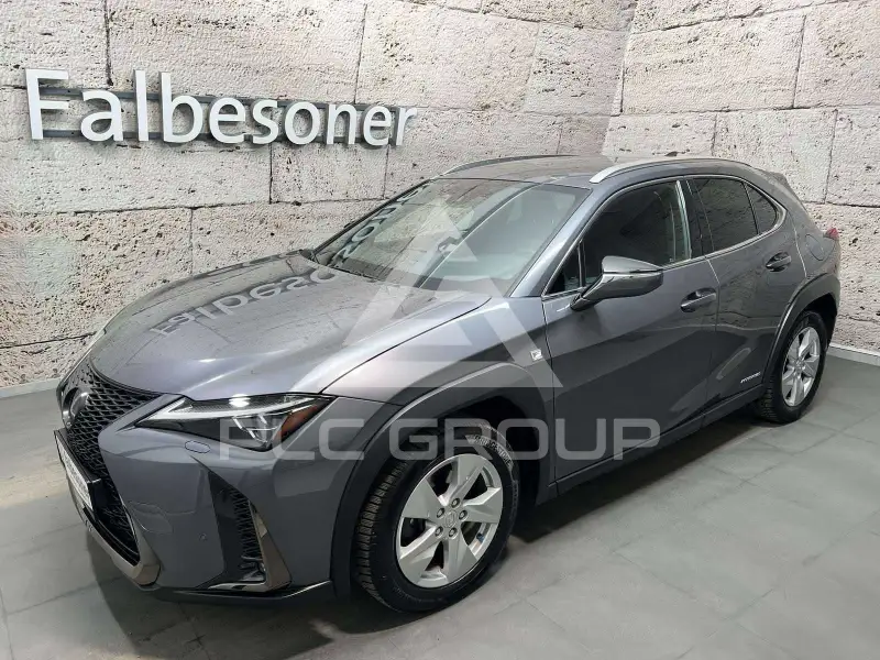 2021 Lexus Other