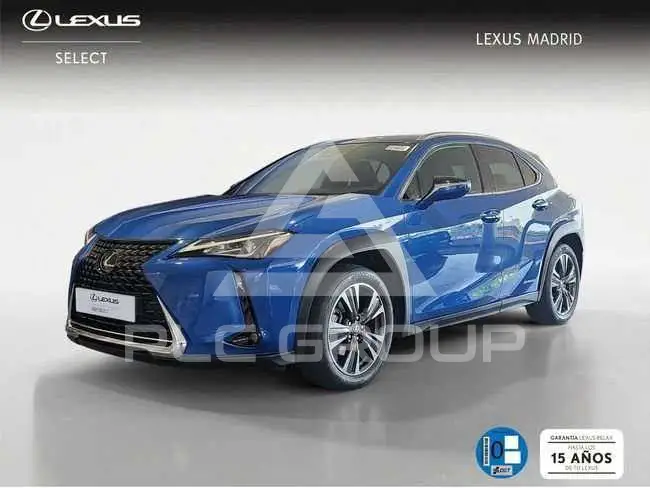 2021 Lexus UX