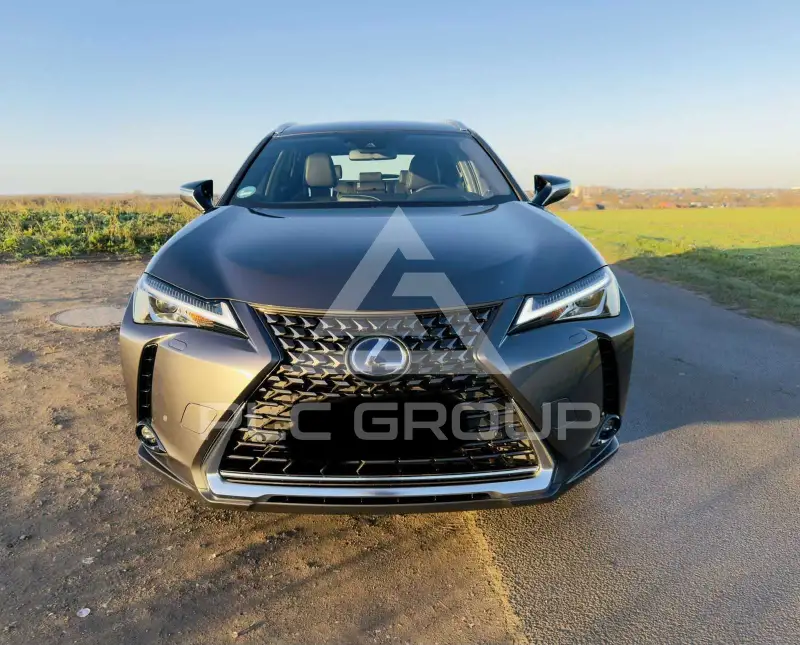 2021 Lexus UX