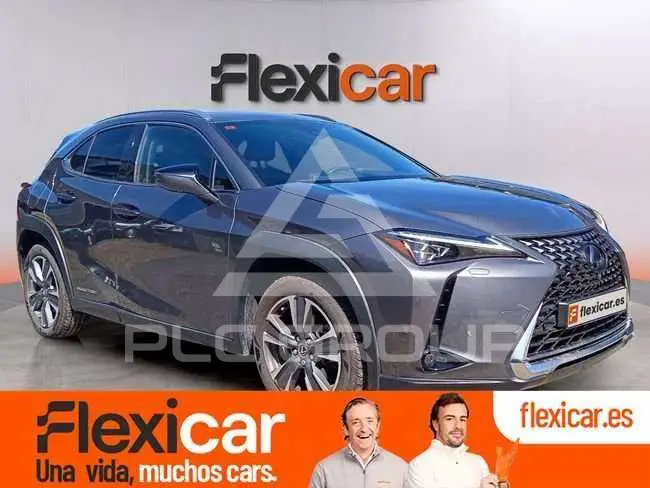 2021 Lexus UX
