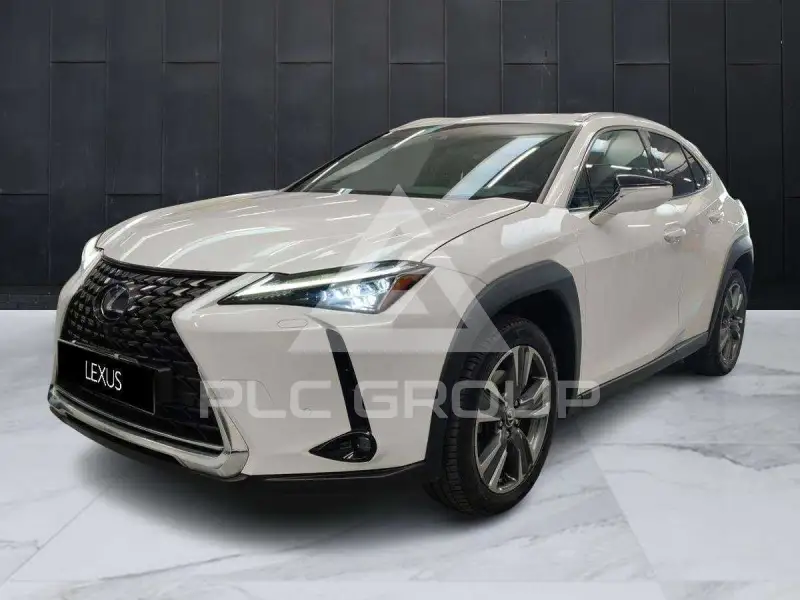 2021 Lexus UX