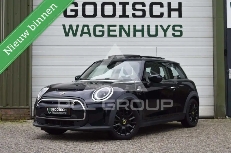 2021 Mini Unknown