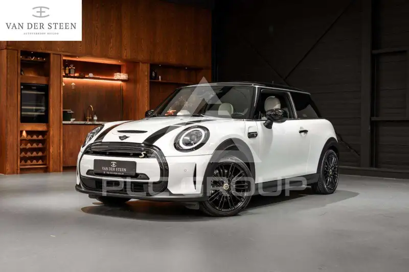 2021 Mini Unknown