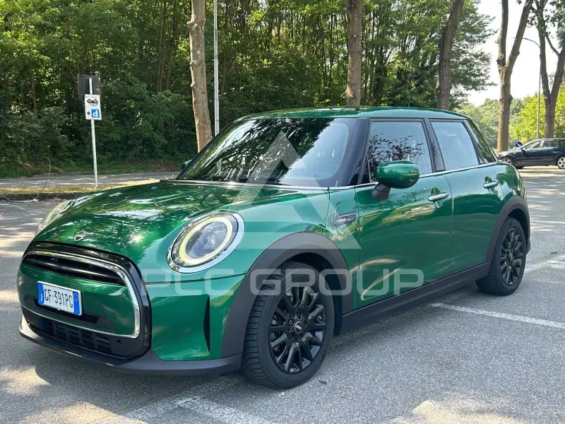 2021 Mini Unknown