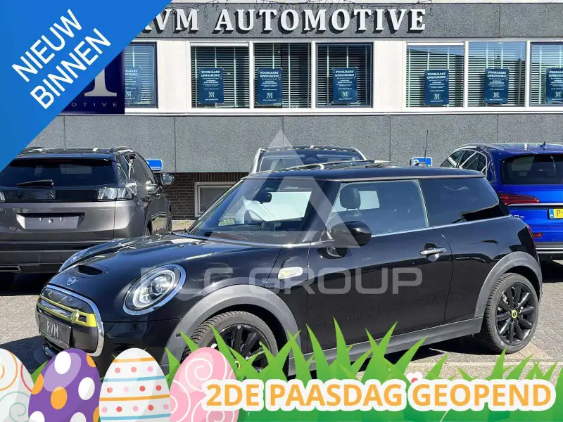 2021 Mini 