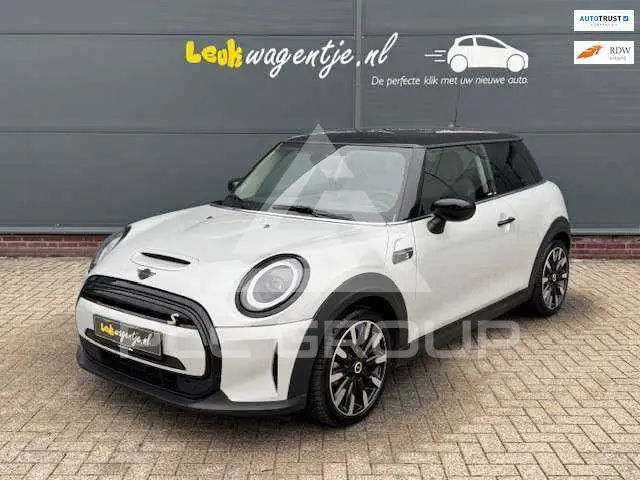 2021 Mini Unknown