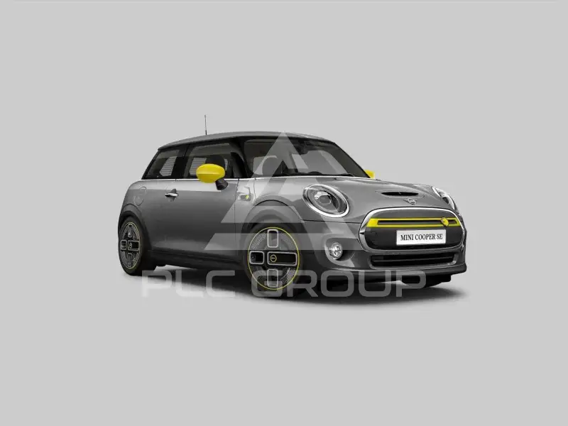2021 Mini Unknown