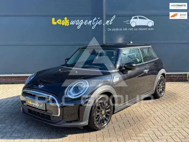 2021 Mini Unknown