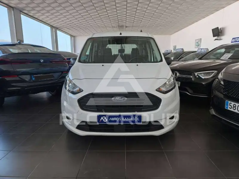 2021 Ford Tourneo