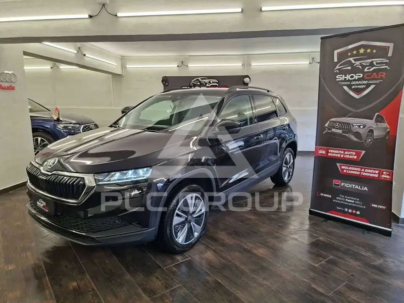 2022 Skoda Karoq