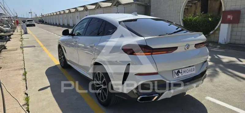 2022 BMW X6