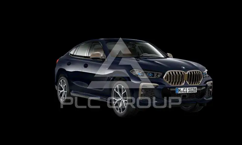 2022 BMW X6