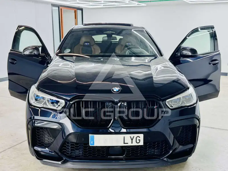 2022 BMW X6