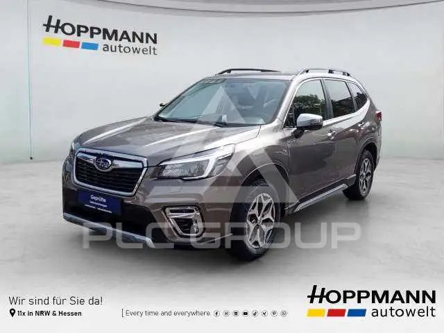 2022 Subaru Forester