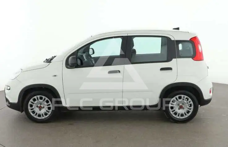 2022 Fiat Panda