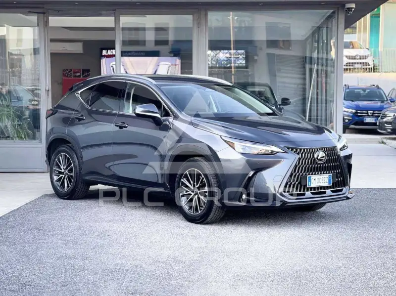2022 Lexus NX300