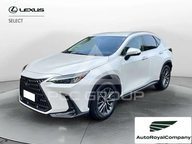 2022 Lexus NX300