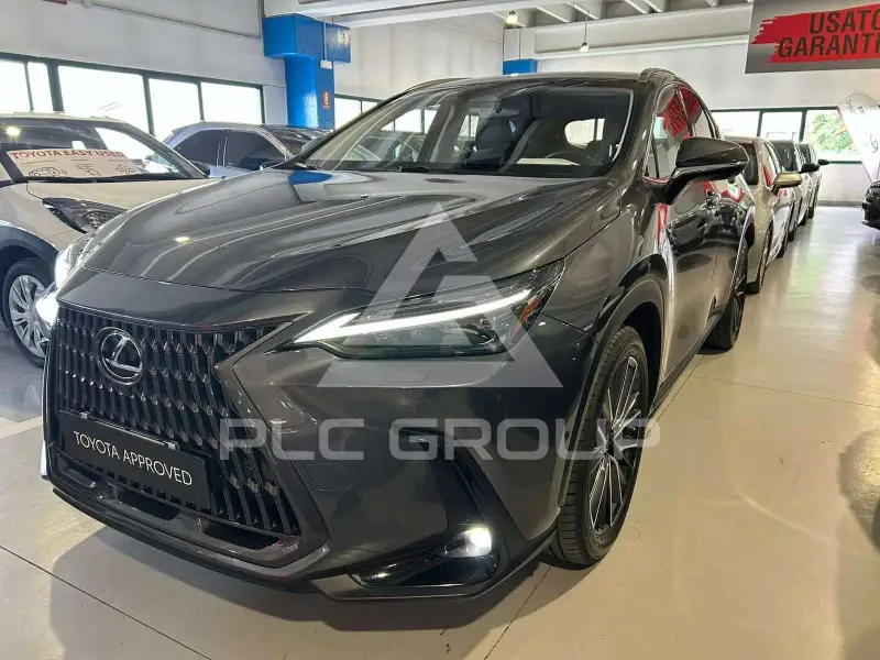2022 Lexus NX300