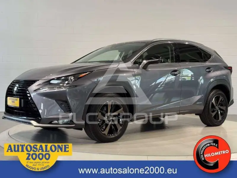 2022 Lexus NX300