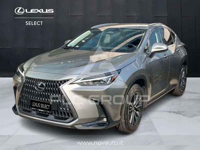2022 Lexus NX300