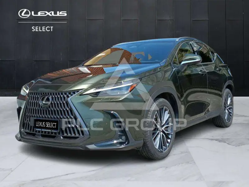2022 Lexus NX300