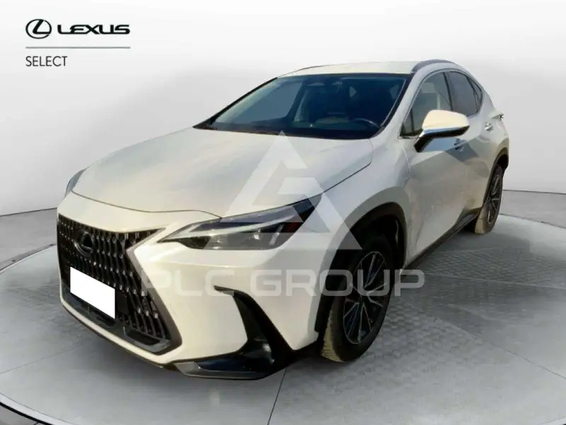 2022 Lexus NX300