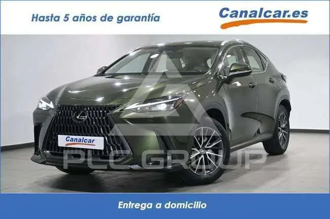2022 Lexus NX300
