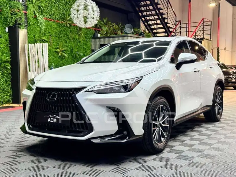 2022 Lexus NX300