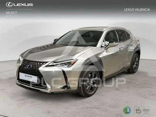 2022 Lexus UX250