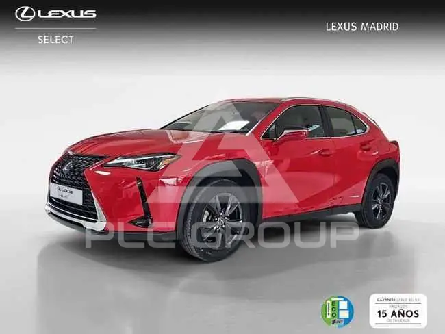 2022 Lexus UX250