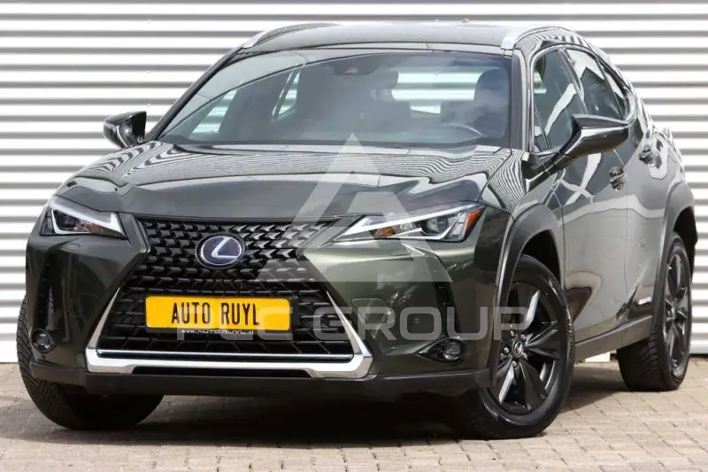2022 Lexus UX250