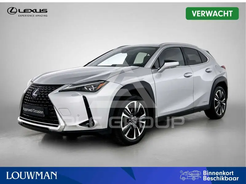2022 Lexus UX250