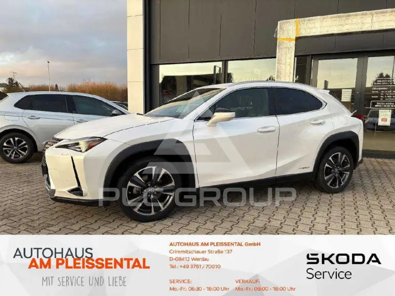 2022 Lexus UX250