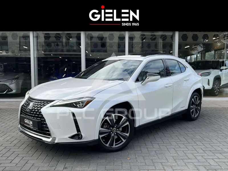 2022 Lexus UX250
