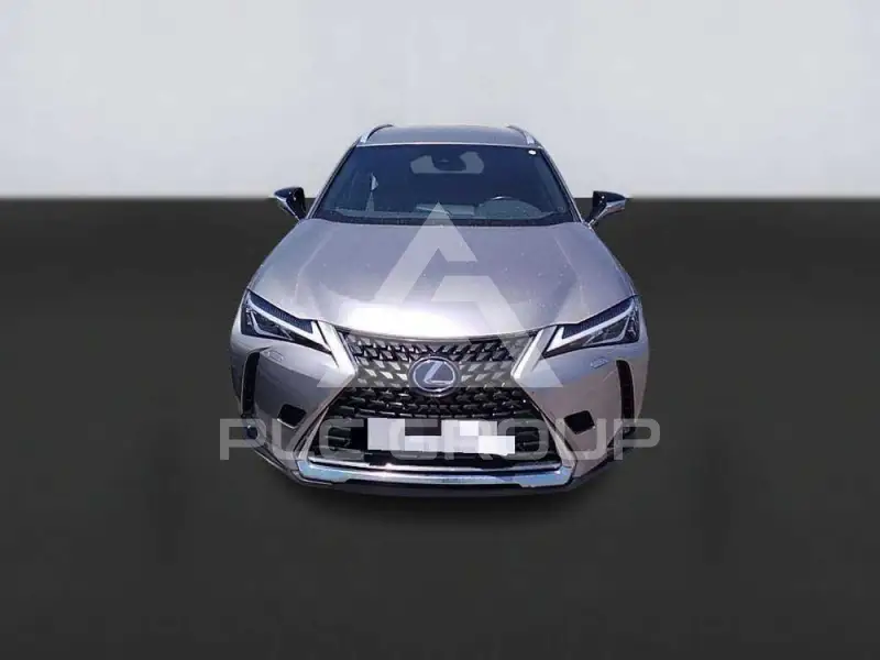 2022 Lexus UX250