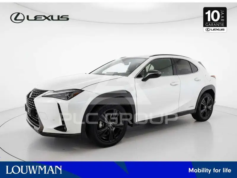 2022 Lexus UX250