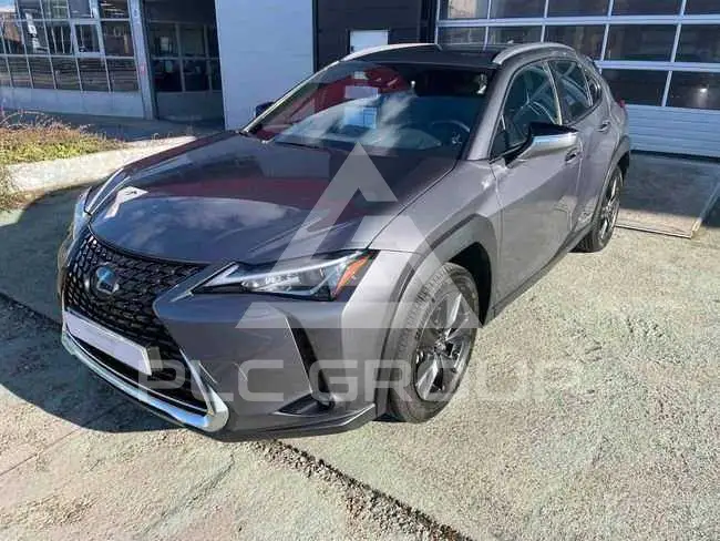 2022 Lexus UX250