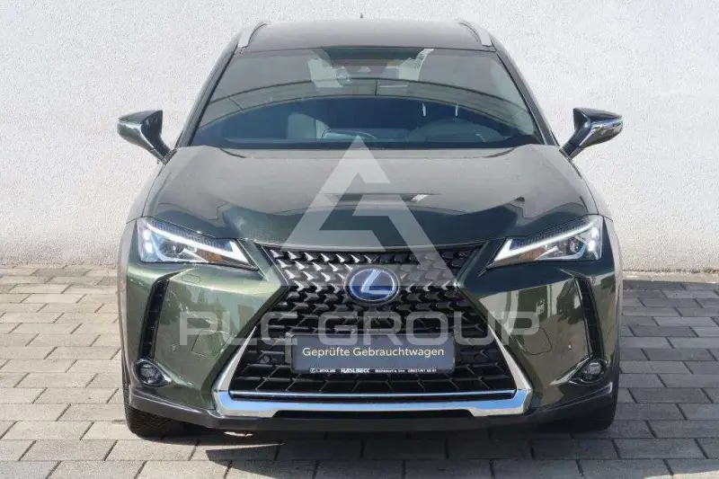 2022 Lexus UX250